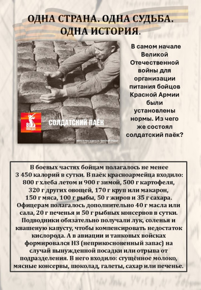 Проект к 80-летию Победы: "ОДНА СТРАНА. ОДНА СУДЬБА. ОДНА ИСТОРИЯ".
